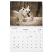 Calendrier Mural Dans le Dog House Fun Amoureux des chiens Date (Jan 2026)