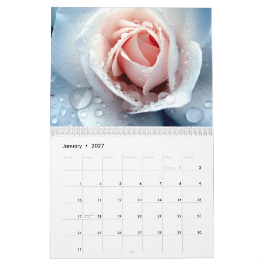 Calendrier Mural David Martin D.D.S. Calendar (Jan 2027)