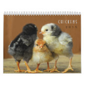 Calendrier mural de 2015 poulets (Protection)