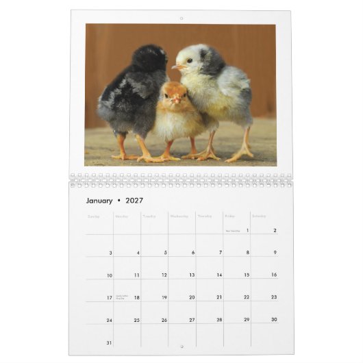 Calendrier mural de 2015 poulets (Jan 2027)