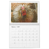 Calendrier mural de 2015 poulets (Feb 2027)