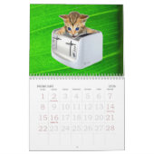 Calendrier mural de broyeur de chat (Feb 2026)