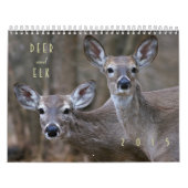 Calendrier mural de cerfs communs et d'élans 2015 (Protection)