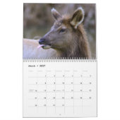 Calendrier mural de cerfs communs et d'élans 2015 (Mar 2027)