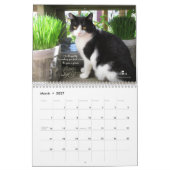 Calendrier mural de chat (Mar 2027)