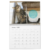 Calendrier mural de chat (Jan 2027)