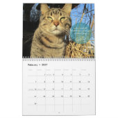 Calendrier mural de chat (Feb 2027)