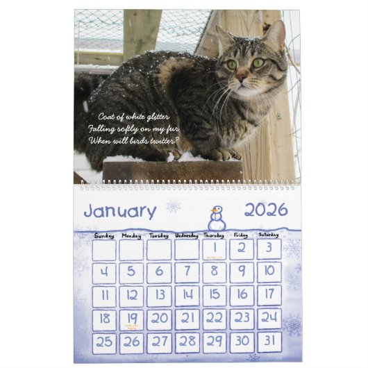Calendrier mural de chat 2017 (Jan 2026)
