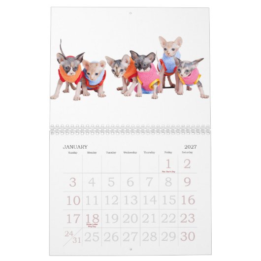 Calendrier mural de chats de Sphynx | GoSphynx.com (Jan 2027)