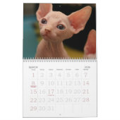 Calendrier mural de chats de Sphynx | GoSphynx.com (Mar 2026)
