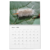 Calendrier mural de chenilles (Mar 2026)