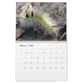 Calendrier mural de chenilles (Feb 2026)