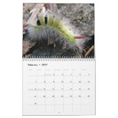 Calendrier mural de chenilles (Feb 2027)