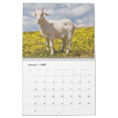 Calendrier mural de chèvres (Jan 2027)