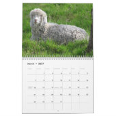 Calendrier mural de chèvres (Mar 2027)