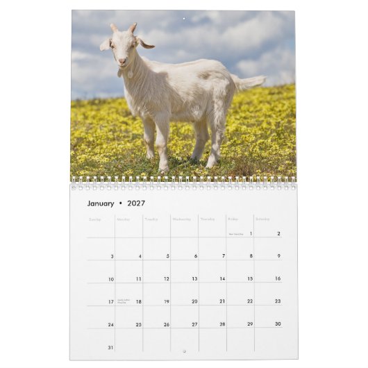 Calendrier mural de chèvres (Jan 2027)