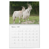 Calendrier mural de chèvres (Feb 2027)