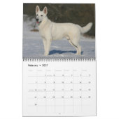 Calendrier mural de chien de berger allemand (Feb 2027)