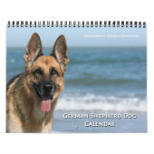 Calendrier mural de chien de berger allemand (Protection)