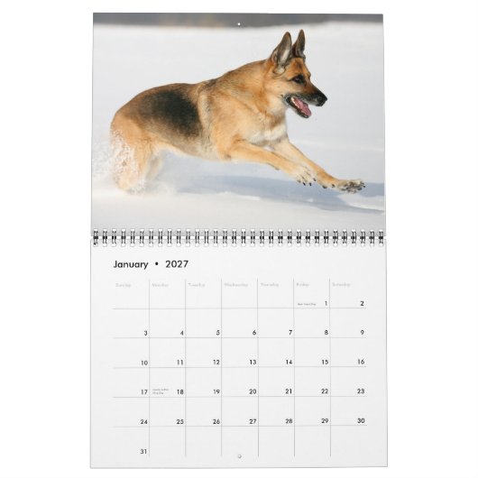 Calendrier mural de chien de berger allemand (Jan 2027)