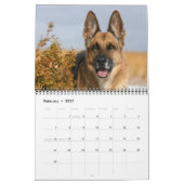 Calendrier mural de chien de berger allemand (Feb 2027)
