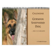 Calendrier mural de chien de berger allemand (Protection)