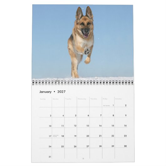 Calendrier mural de chien de berger allemand (Jan 2027)