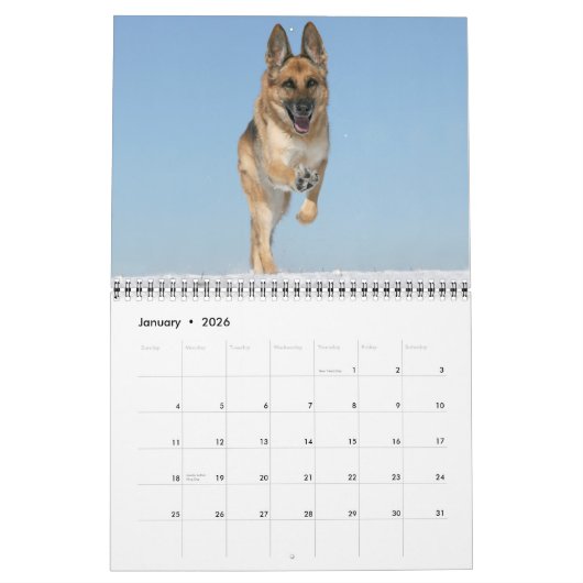 Calendrier mural de chien de berger allemand (Jan 2026)