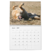 Calendrier mural de chien de berger allemand (Mar 2027)