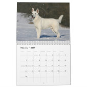 Calendrier mural de chien de berger allemand (Feb 2027)
