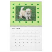 Calendrier mural de chiot de golden retriever (Mar 2026)