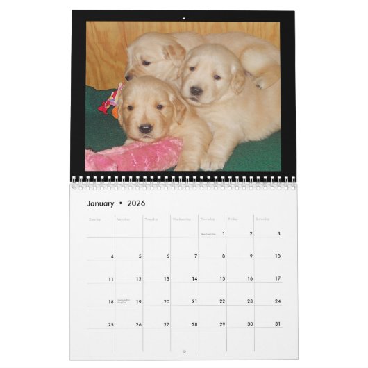 Calendrier mural de chiot de golden retriever (Jan 2026)