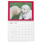 Calendrier mural de chiot de golden retriever (Feb 2027)