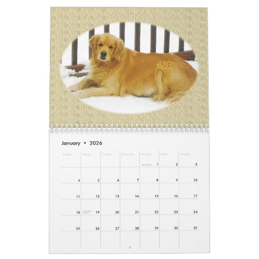 Calendrier mural de chiot de golden retriever (Jan 2026)