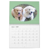 Calendrier mural de chiot de golden retriever (Mar 2027)