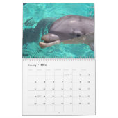 Calendrier mural de dauphins (Jan 2026)