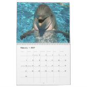 Calendrier mural de dauphins (Feb 2027)