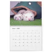 Calendrier mural de furets (Mar 2027)