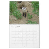Calendrier mural de furets (Feb 2027)