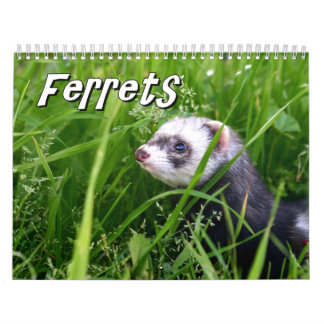 Calendrier mural de furets