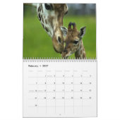 Calendrier mural de girafes (Feb 2027)