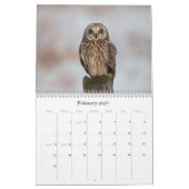Calendrier mural de hibou de 2017 Nord-américains (Feb 2027)