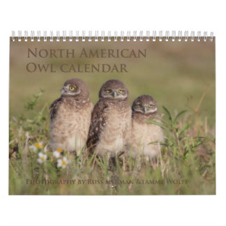 Calendrier mural de hibou de 2017 Nord-américains