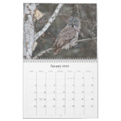 Calendrier mural de hibou de 2017 Nord-américains (Jan 2026)