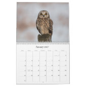 Calendrier mural de hibou de 2019 Nord-américains (Jan 2027)