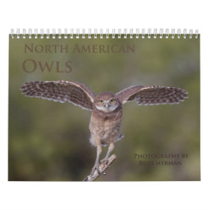 Calendrier mural de hibou de 2019 Nord-américains