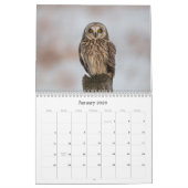 Calendrier mural de hibou de 2019 Nord-américains (Jan 2026)