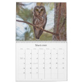 Calendrier mural de hibou de 2019 Nord-américains (Mar 2026)