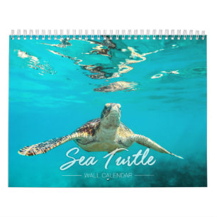 Calendrier mural de la tortue de mer 2019
