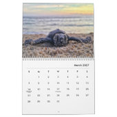 Calendrier mural de la tortue de mer 2019 (Mar 2027)